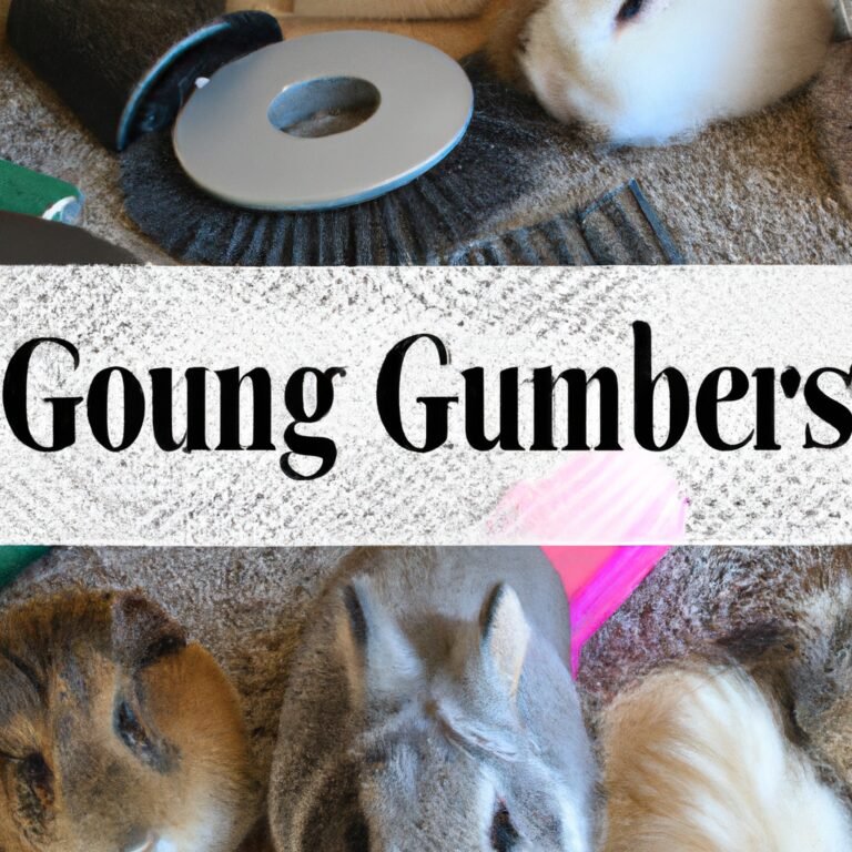 Grooming for Small Animals: Rabbits, Guinea Pigs, and More