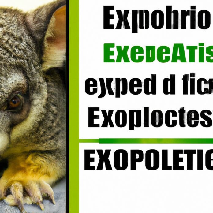 Exotic Pet Laws and Regulations: Know Before You Adopt